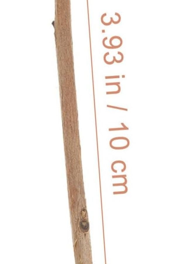 Natural Wood Twigs Sticks 150pcs For DIY Crafts Home Decor Photo Props - Image 2